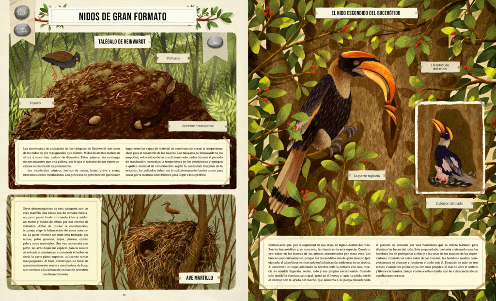 CONSTRUCCIONES ANIMALES 2