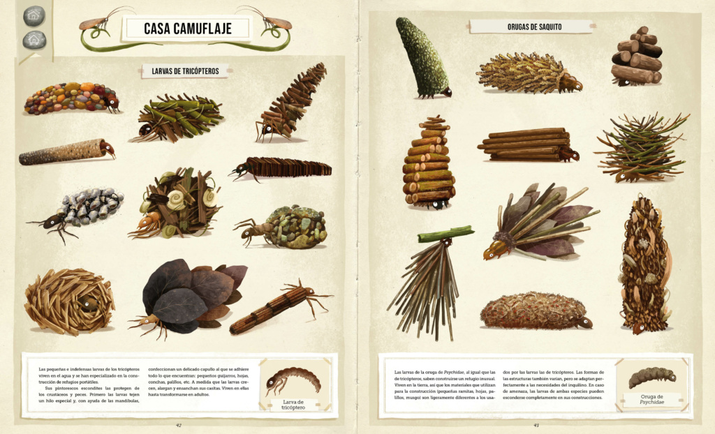 CONSTRUCCIONES ANIMALES 4