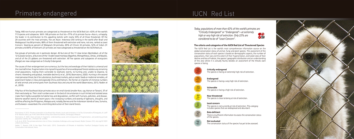 ALL ASIAN PRIMATES 2