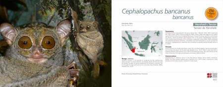 ALL ASIAN PRIMATES 3