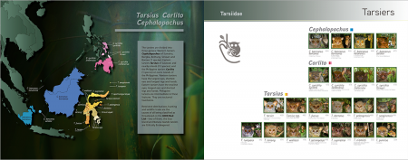 ALL ASIAN PRIMATES 4