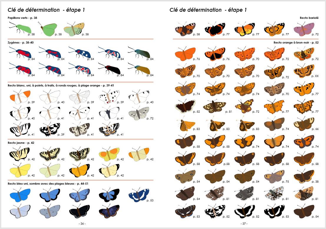 GUIDE PHOTOGRAPHIQUE DES PAPILLONS DE JOUR ET ZYGÈNES DE FRANCE. TOUTES LES ESPÈCES DE FRANCE PLUS DE 2000 PHOTOGRAPHIES MÂLES ET FEMELLES ILLUSTRÉS 2