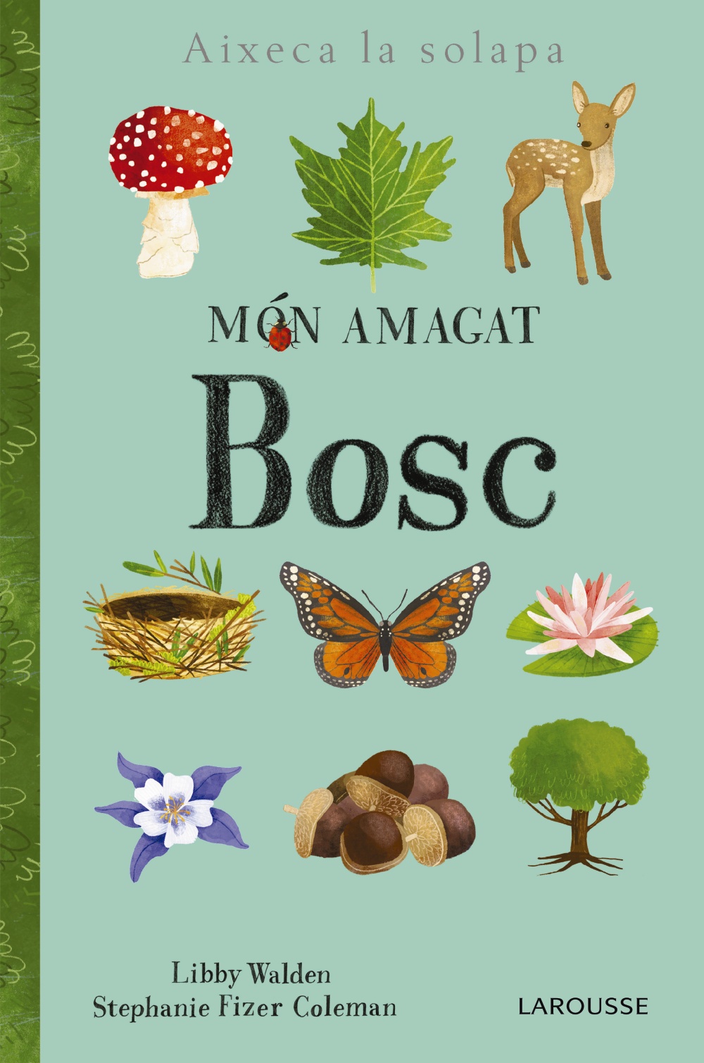 MÓN AMAGAT. BOSC 1