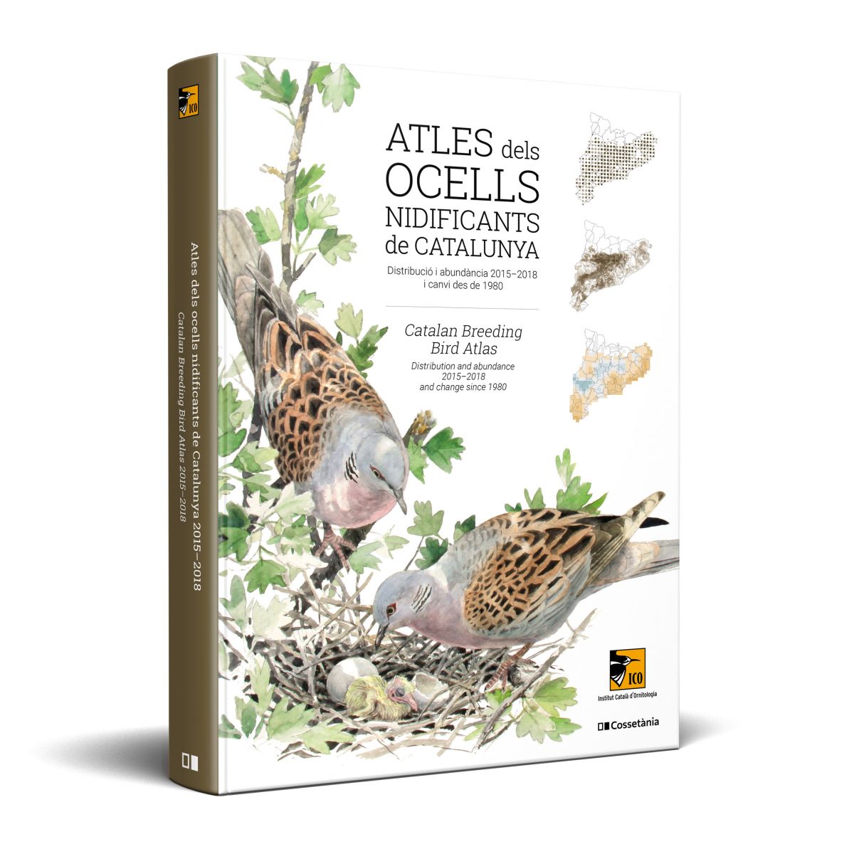 ATLES DELS OCELLS NIDIFICANTS DE CATALUNYA. DISTRIBUCIÓ I ABUNDÀNCIA 2015-2018 I CANVI DES DE 1980 / CATALAN BREEDING BIRD ATLAS. DISTRIBUTION AND ABU