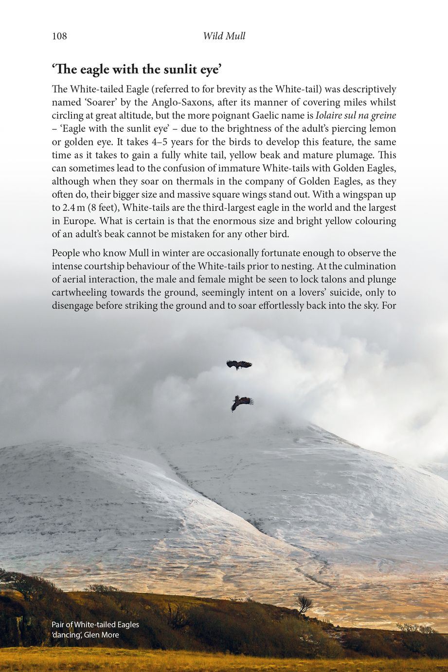 WILD MULL. A NATURAL HISTORY OF THE ISLAND AND ITS PEOPLE 2