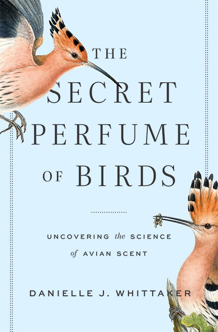 THE SECRET PERFUME OF BIRDS. UNCOVERING THE SCIENCE OF AVIAN SCENT 1