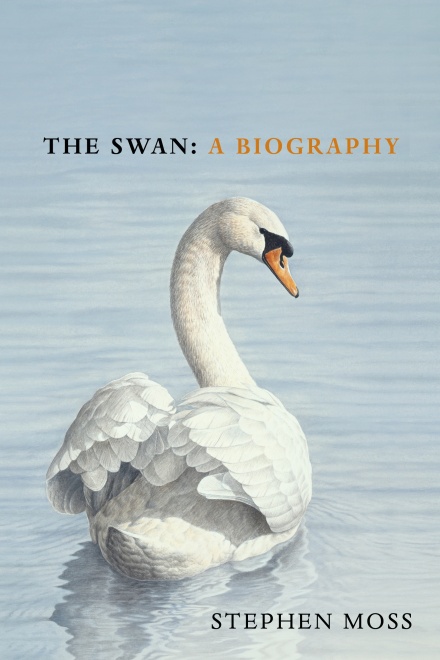 THE SWAN: A BIOGRAPHY 1
