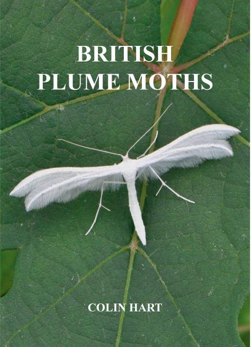 BRITISH CRANEFLIES