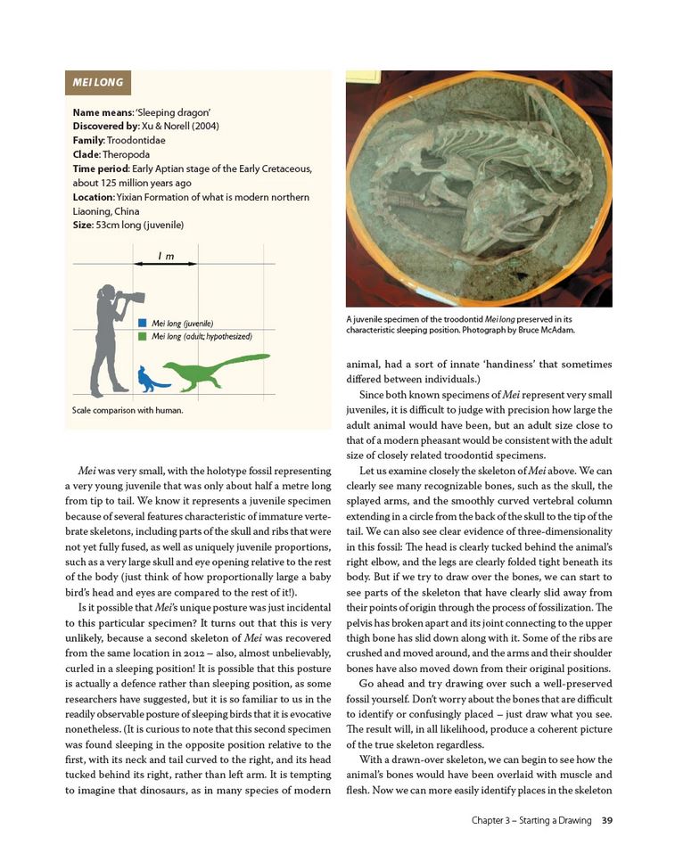 DRAWING AND PAINTING DINOSAURS 3