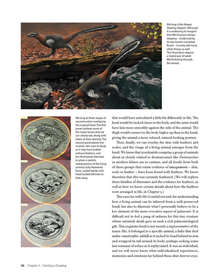 DRAWING AND PAINTING DINOSAURS 4