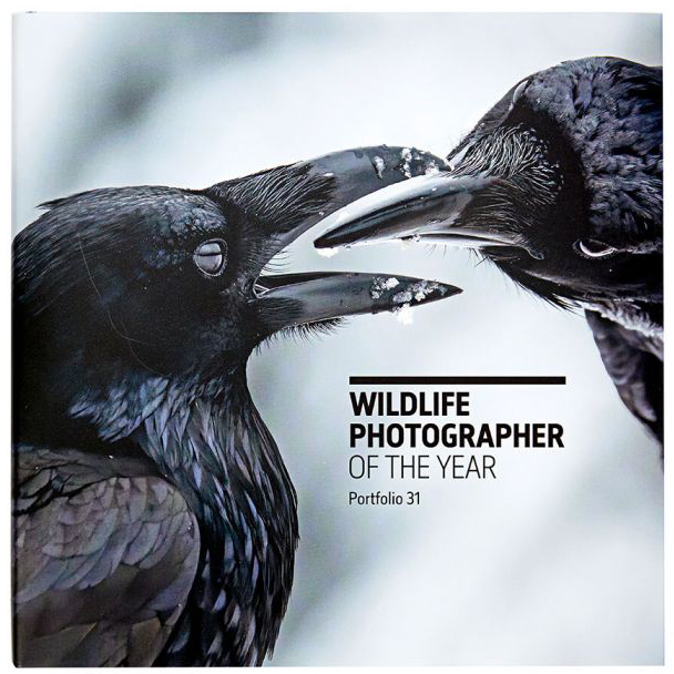 WILDLIFE PHOTOGRAPHER OF THE YEAR. PORTFOLIO 31
