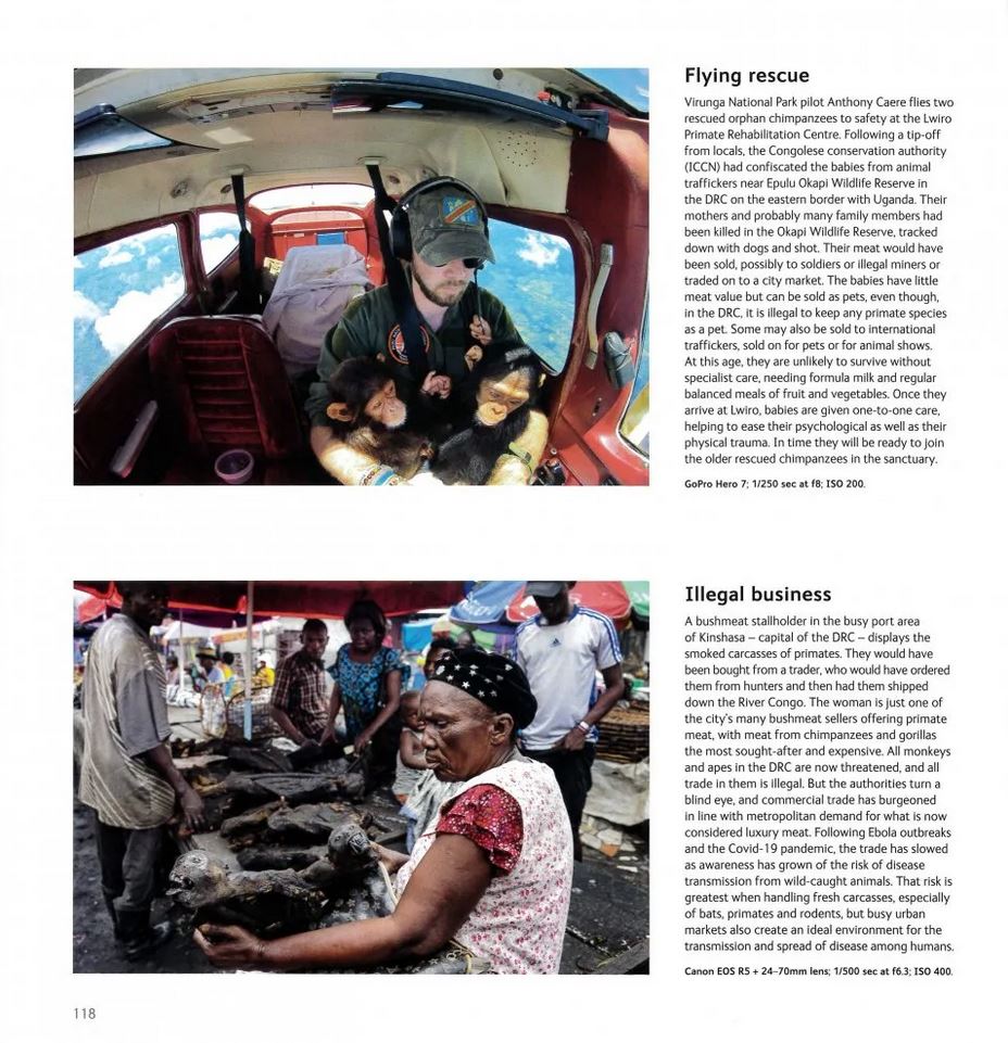 WILDLIFE PHOTOGRAPHER OF THE YEAR. PORTFOLIO 31 5