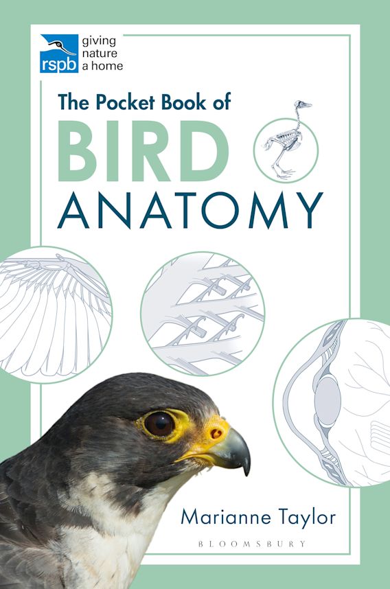 THE POCKET BOOK OF BIRDS ANATOMY