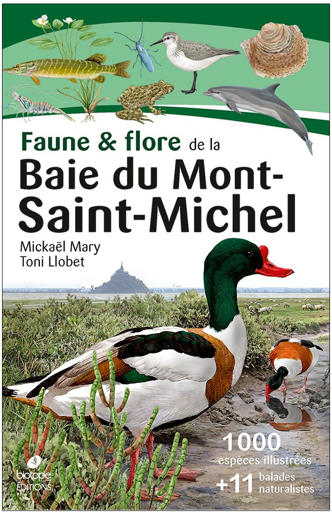 FAUNE & FLORE DE LA BAIE DU MONT-SAINT-MICHEL 1