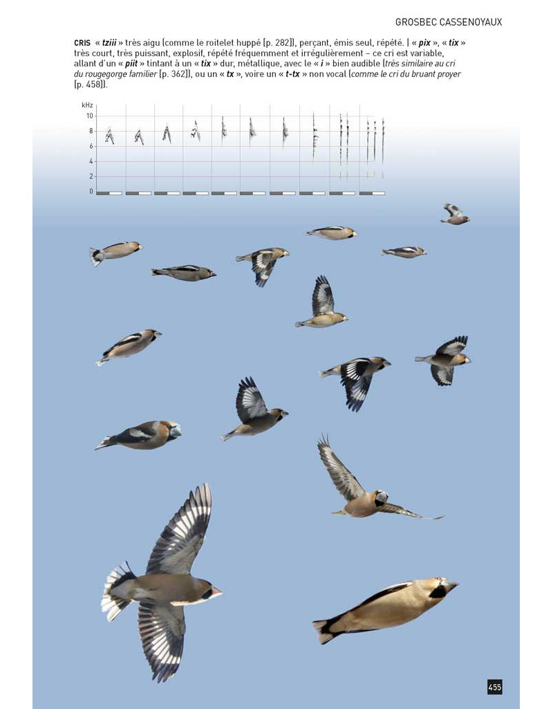CAHIER D'IDENTIFICATION DES PASSEREAUX D'EUROPE EN VOL 2