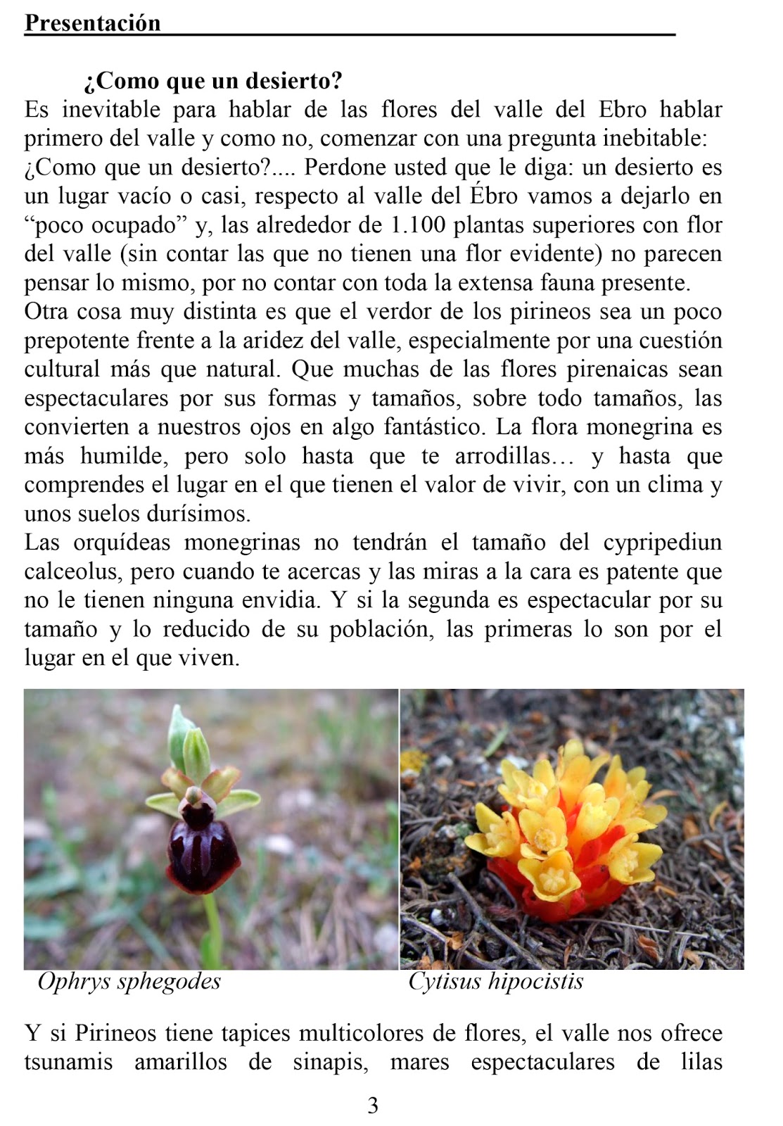 CLAVES ILUSTRADAS DE LAS FLORES DEL VALLE DEL EBRO 4
