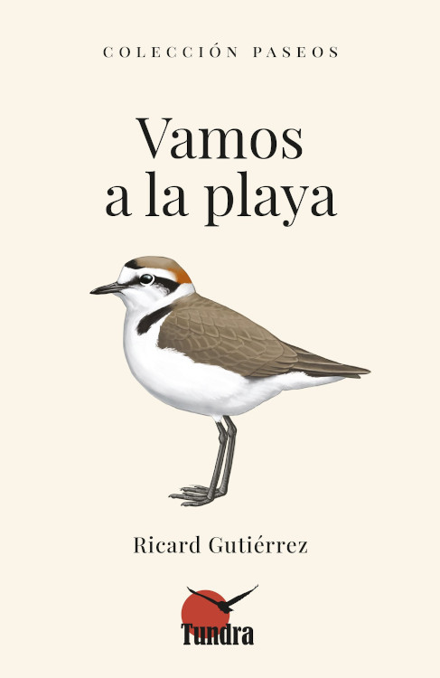 VAMOS A LA PLAYA. COLECCIÓN PASEOS