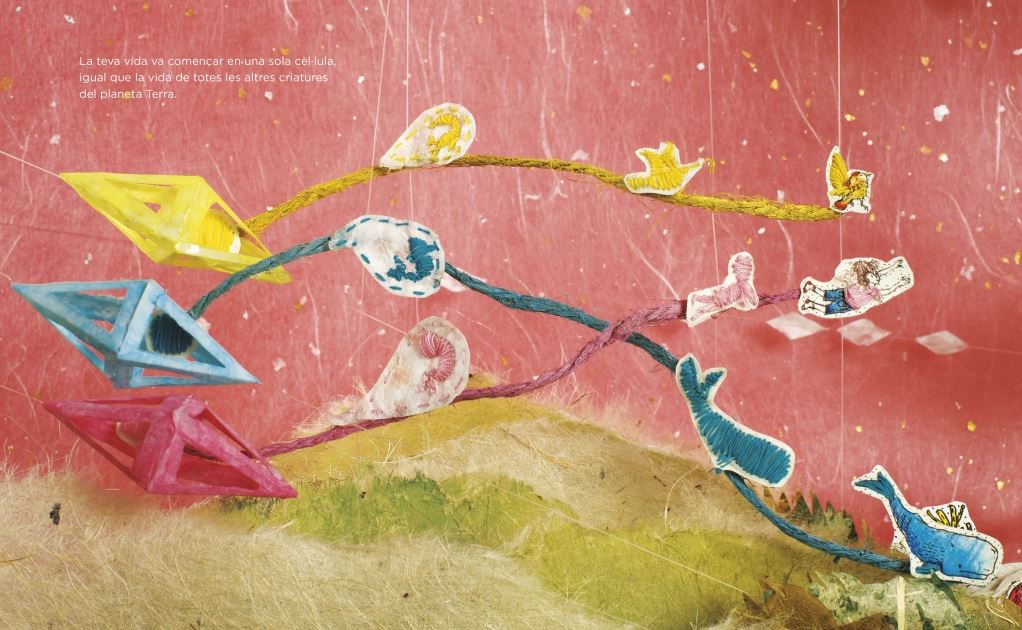 ETS POLS D'ESTRELLES 2