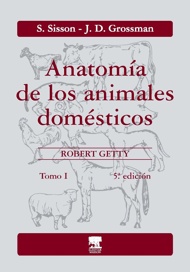 ANATOMÍA DE LOS ANIMALES DOMÉSTICOS. TOMO I 1