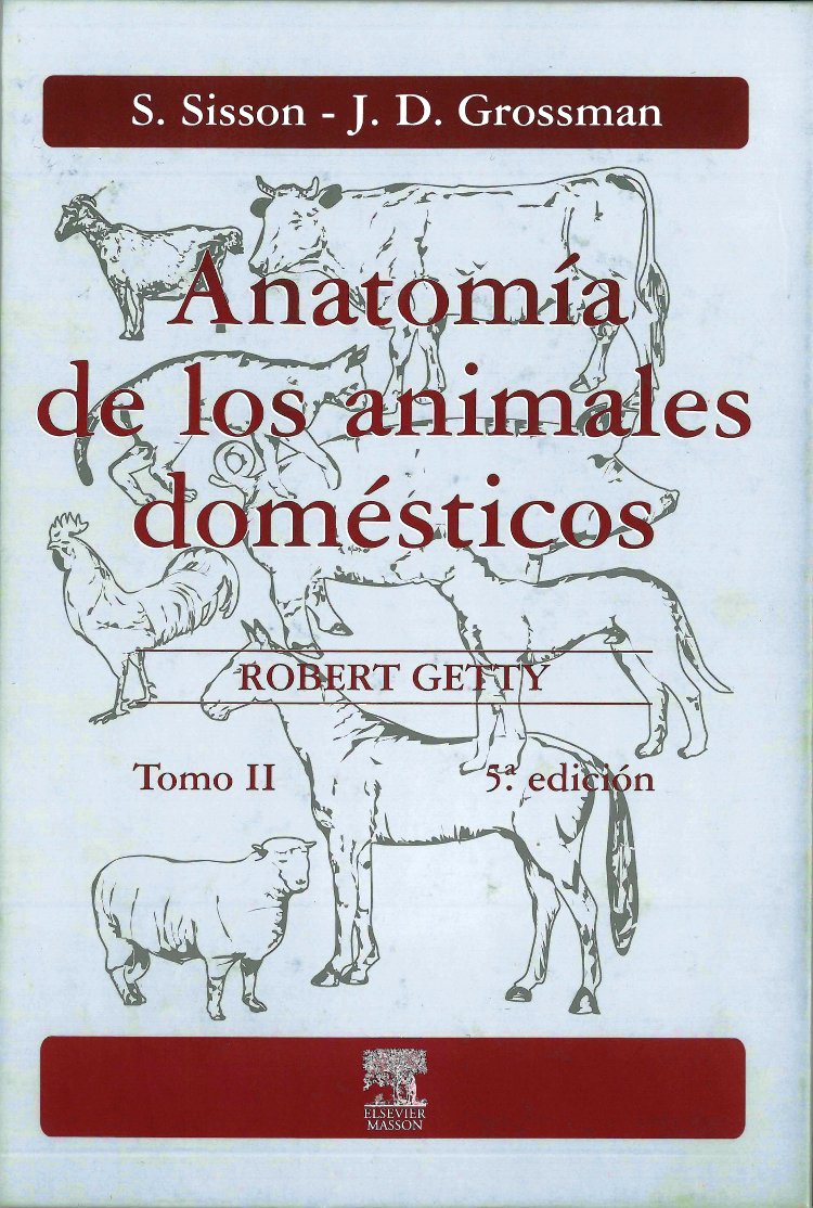 ANATOMÍA DE LOS ANIMALES DOMÉSTICOS. TOMO II 1