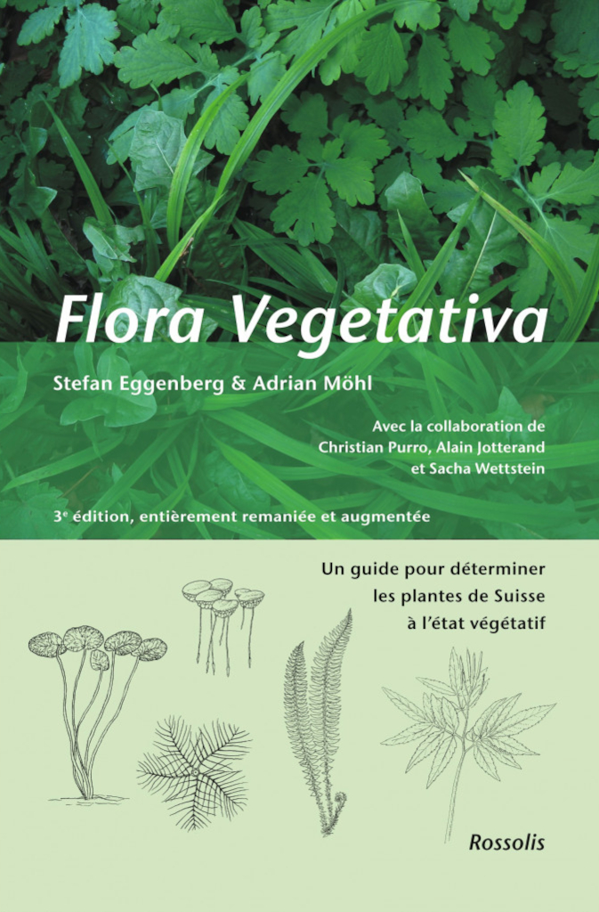 FLORA VEGETATIVA