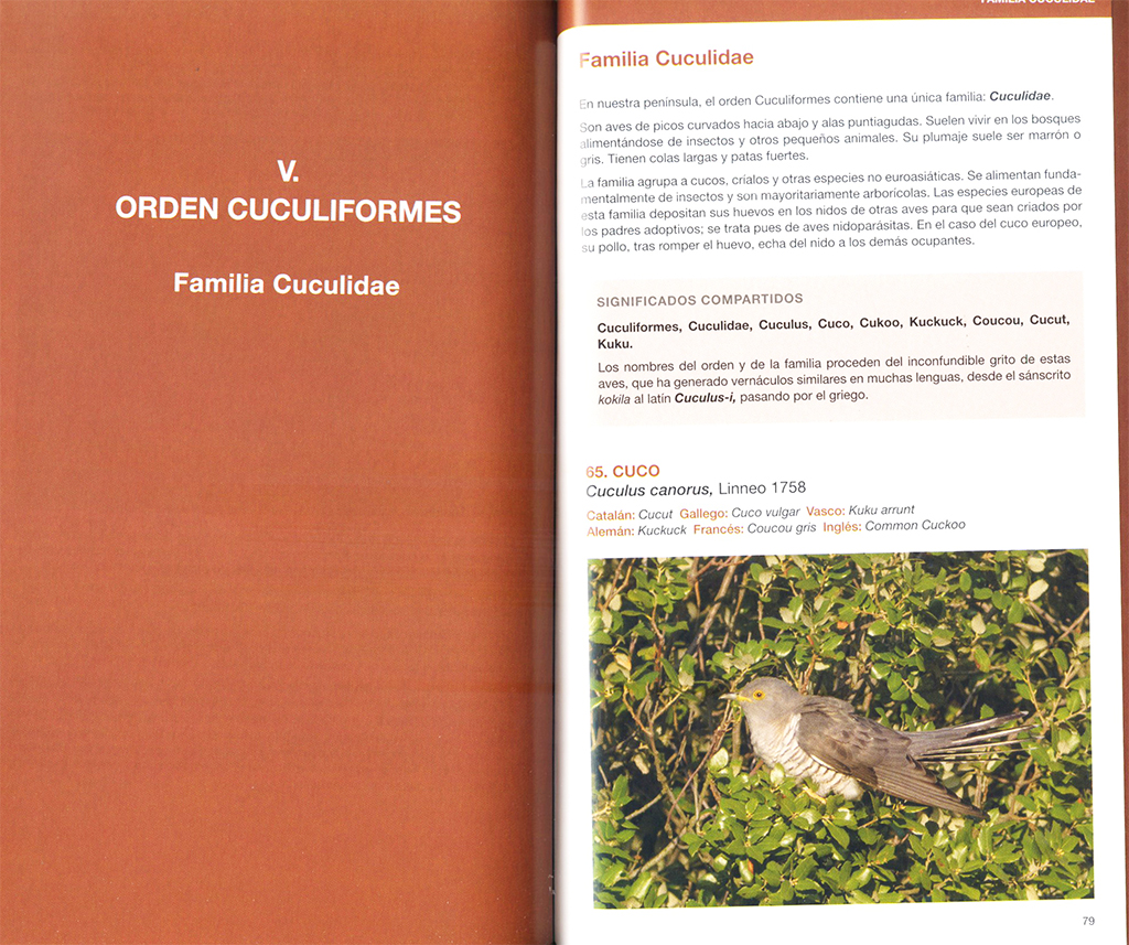 AVETIMOLOGIA. EL ORIGEN DE LOS NOMBRES DE LAS AVES DE EUROPA 2