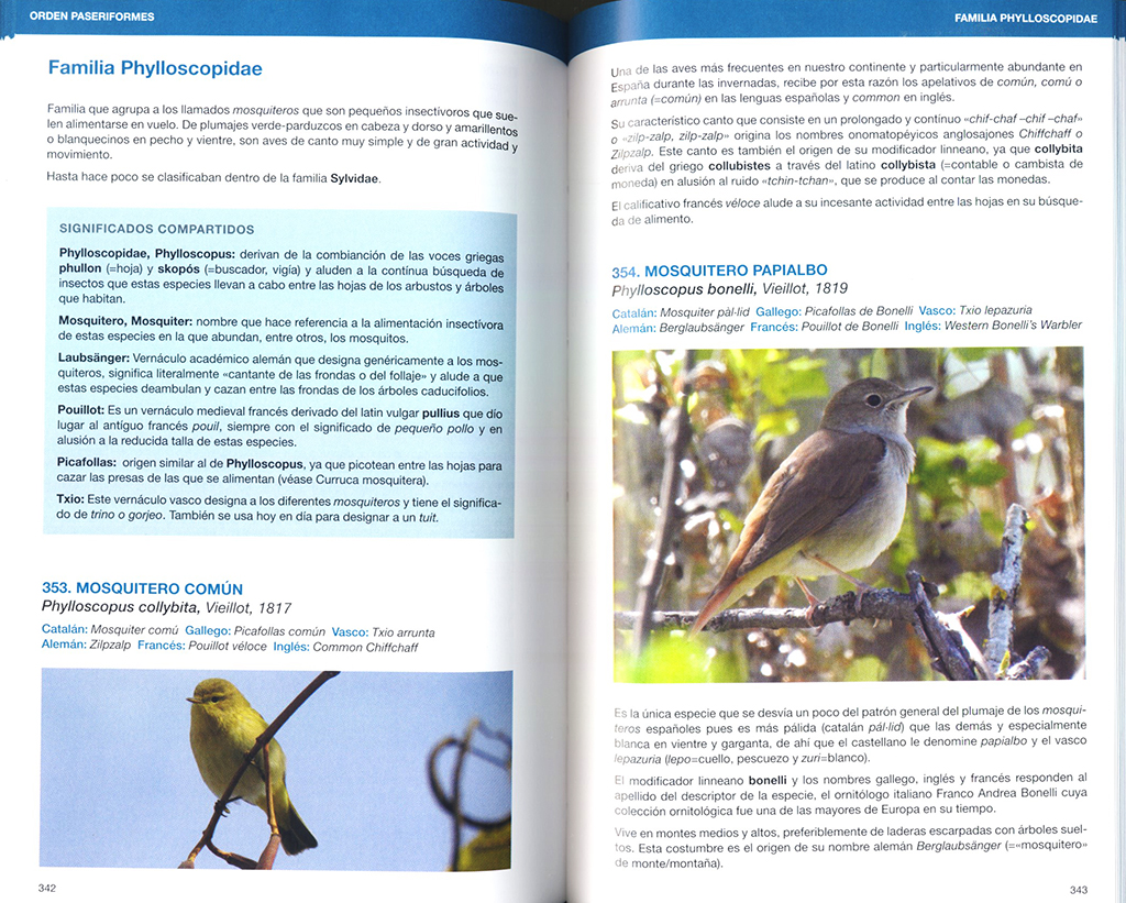 AVETIMOLOGIA. EL ORIGEN DE LOS NOMBRES DE LAS AVES DE EUROPA 3