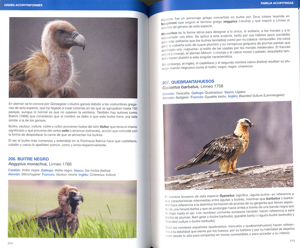 AVETIMOLOGIA. EL ORIGEN DE LOS NOMBRES DE LAS AVES DE EUROPA 4