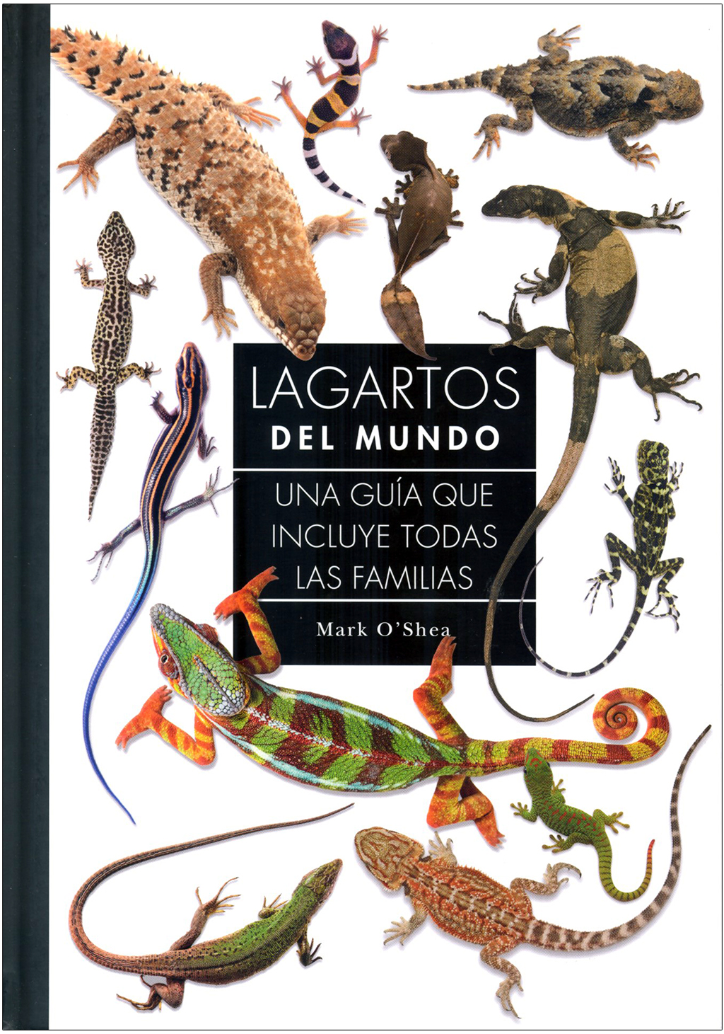 LAGARTOS DEL MUNDO. UNA GUÍA QUE INCLUYE TODAS LAS FAMILIAS 1