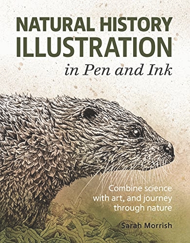 NATURAL HISTORY ILLUSTRATION IN PEN AND INK