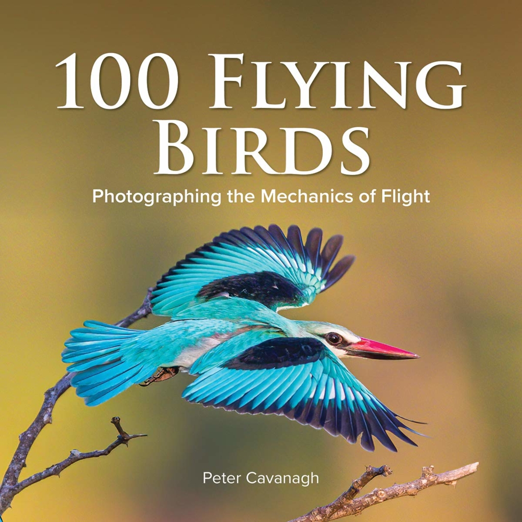 100 FLYING BIRDS. PHOTOGRAPHING THE MECHANICS OF FLIGHT