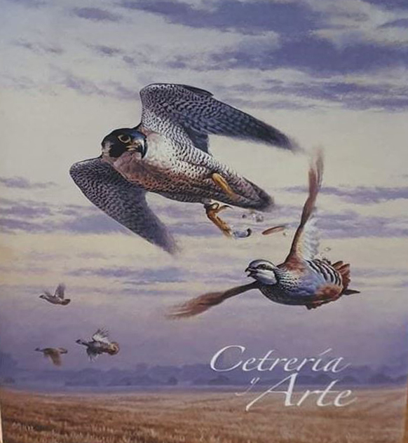 CETRERÍA Y ARTE 2