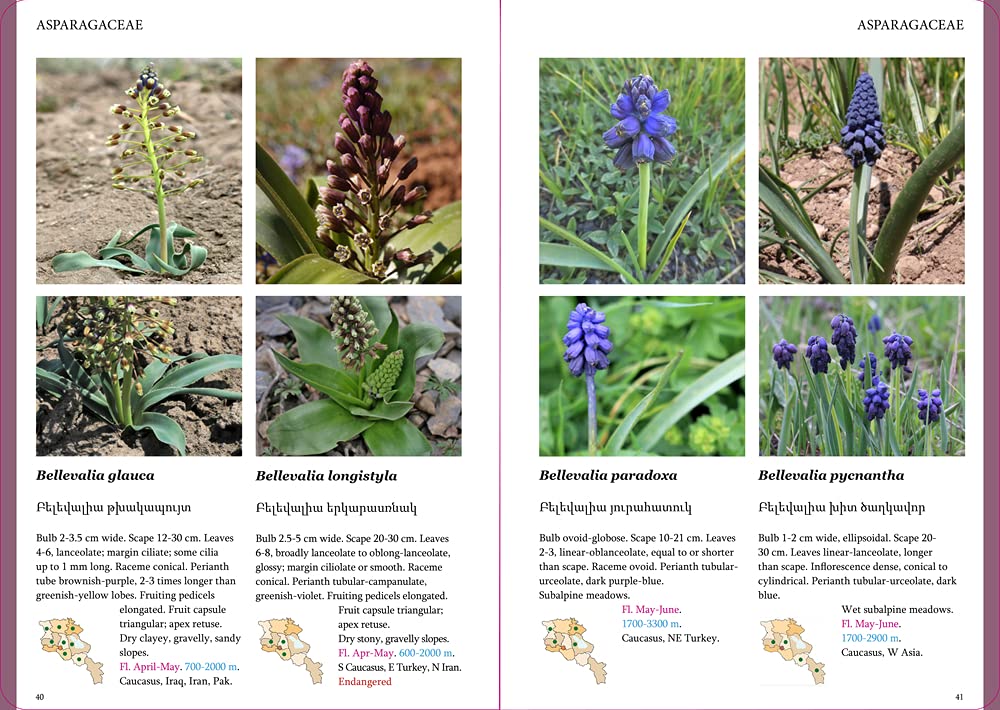 FIELD GUIDE TO THE PLANTS OF ARMENIA 2