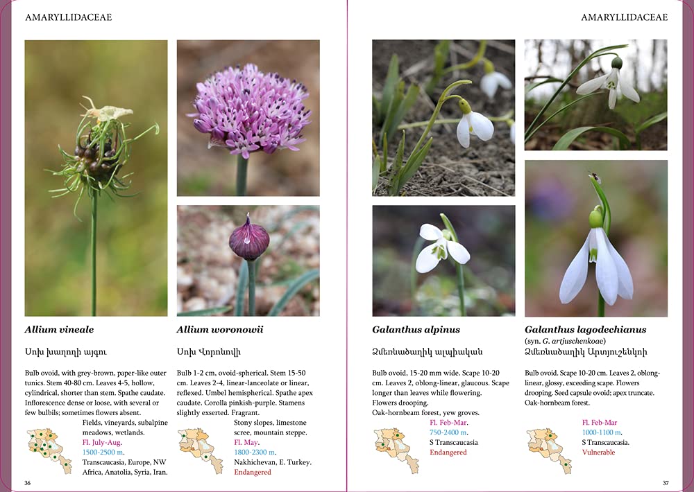 FIELD GUIDE TO THE PLANTS OF ARMENIA 3