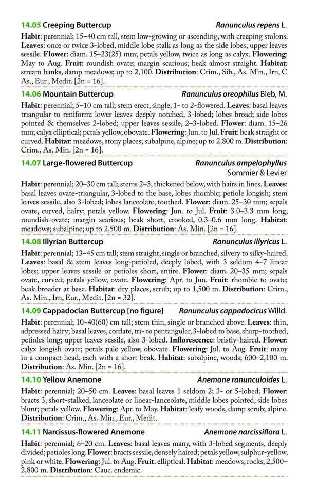 MOUNTAIN FLOWERS AND TREES OF CAUCASIA 2