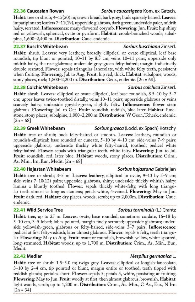 MOUNTAIN FLOWERS AND TREES OF CAUCASIA 4