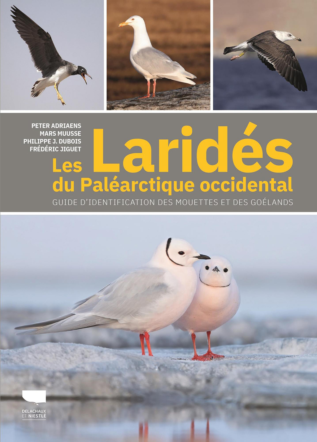 LES LARIDES DU PALEARTIQUE OCCIDENTAL. GUIDE D'IDENTIFICATION DES MOUTTES ET DES GOELANDS 1