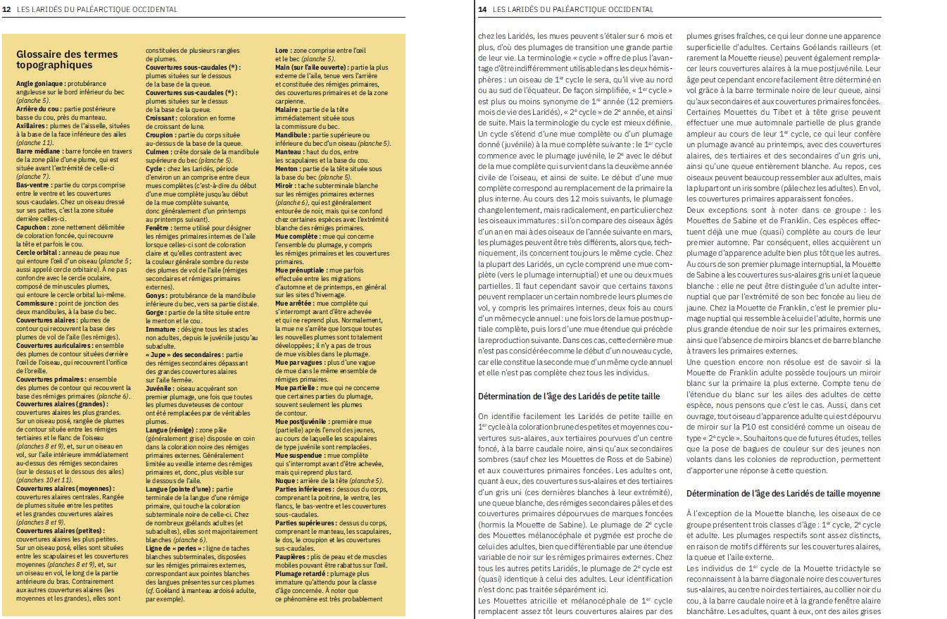 LES LARIDES DU PALEARTIQUE OCCIDENTAL. GUIDE D'IDENTIFICATION DES MOUTTES ET DES GOELANDS 3