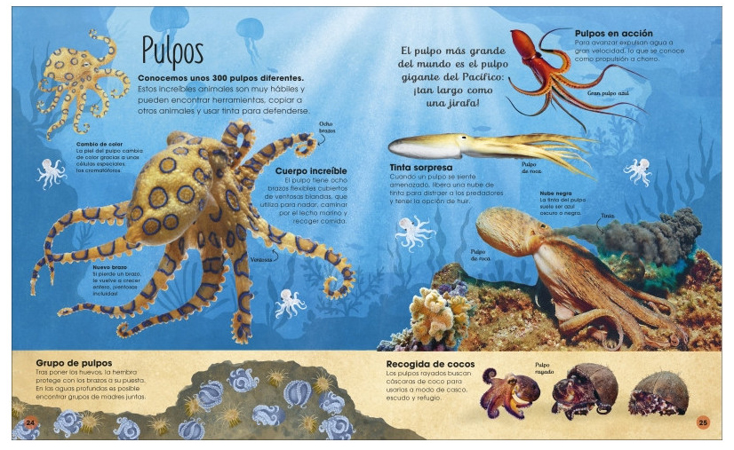 LA VIDA SECRETA DE LOS OCÉANOS 2