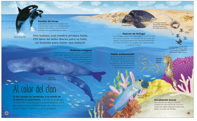 LA VIDA SECRETA DE LOS OCÉANOS 3