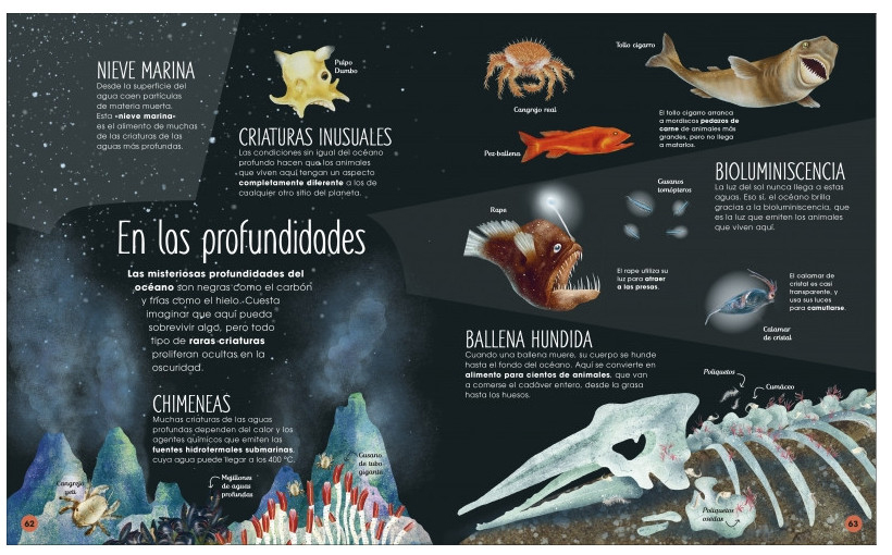 LA VIDA SECRETA DE LOS OCÉANOS 4