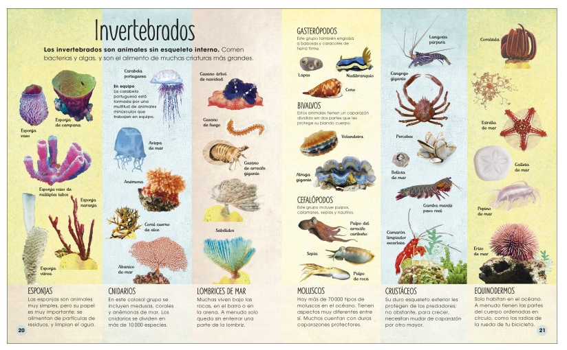 LA VIDA SECRETA DE LOS OCÉANOS 5