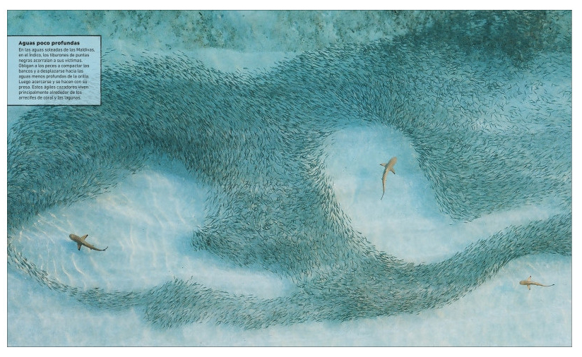 ATLAS DEL MUNDO ANIMAL. LA VIDA SALVAJE EN MAPAS 5