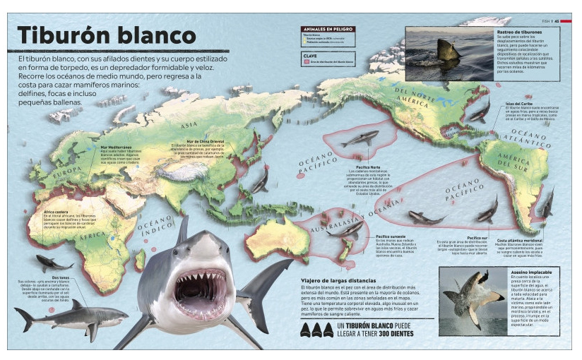 ATLAS DEL MUNDO ANIMAL. LA VIDA SALVAJE EN MAPAS 6