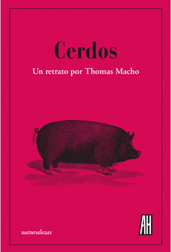 CERDOS. UN RETRATO POR THOMAS MACHO