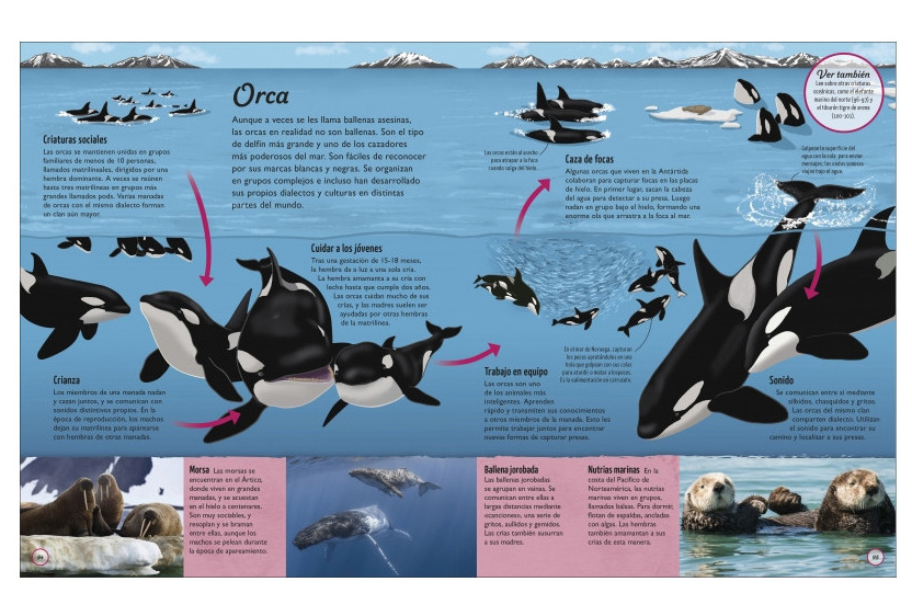 LA VIDA DEL AGUA. EL RECURSO NATURAL MÁS IMPORTANTE DE LA TIERRA 2