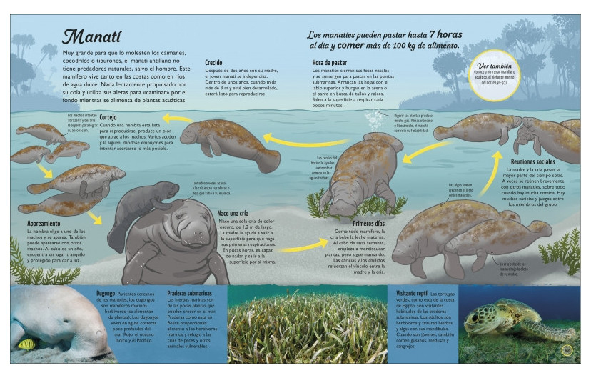 LA VIDA DEL AGUA. EL RECURSO NATURAL MÁS IMPORTANTE DE LA TIERRA 4