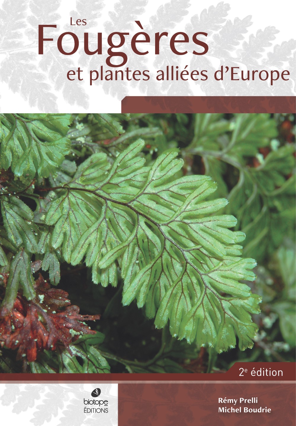 LES FOUGÈRES ET PLANTES ALLIÉES D'EUROPE 1