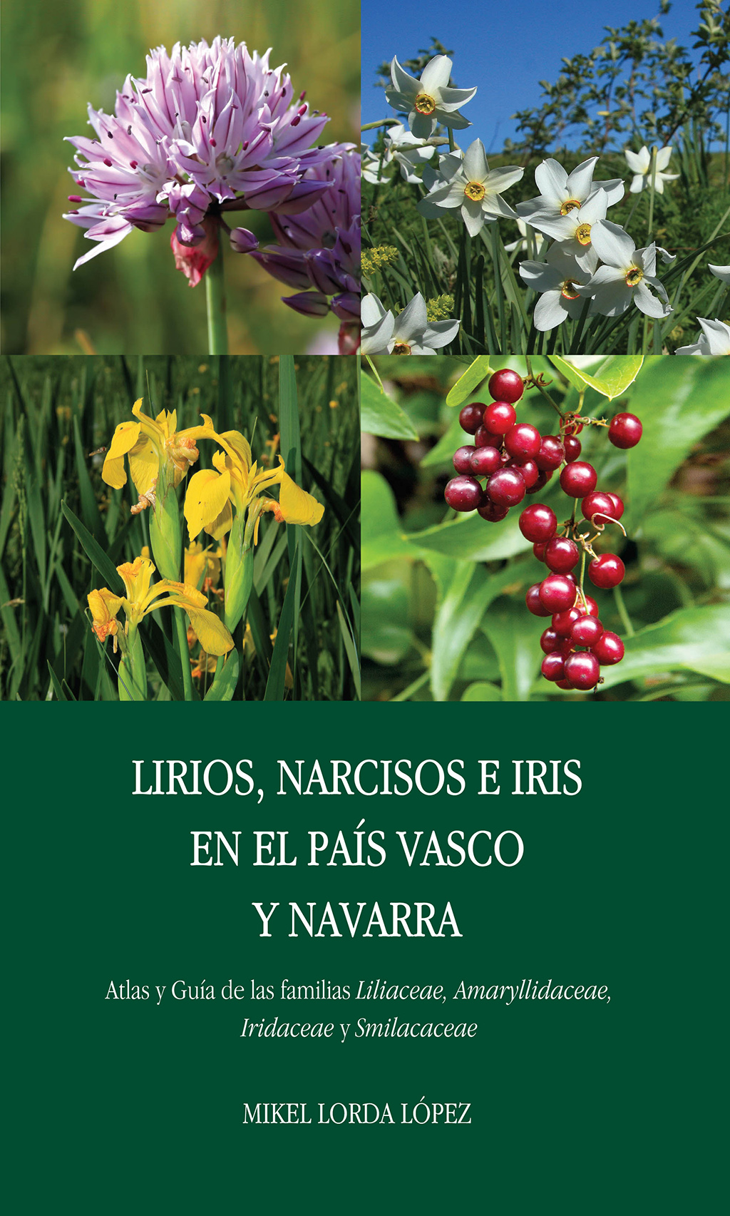 LIRIOS, NARCISOS E IRIS EN EL PAÍS VASCO Y NAVARRA. ATLAS Y GUÍA DE LAS FAMILIAS LILIACEAE, AMARYLLIDACEAE, IRIDACEAE Y SMILACACEAE 1