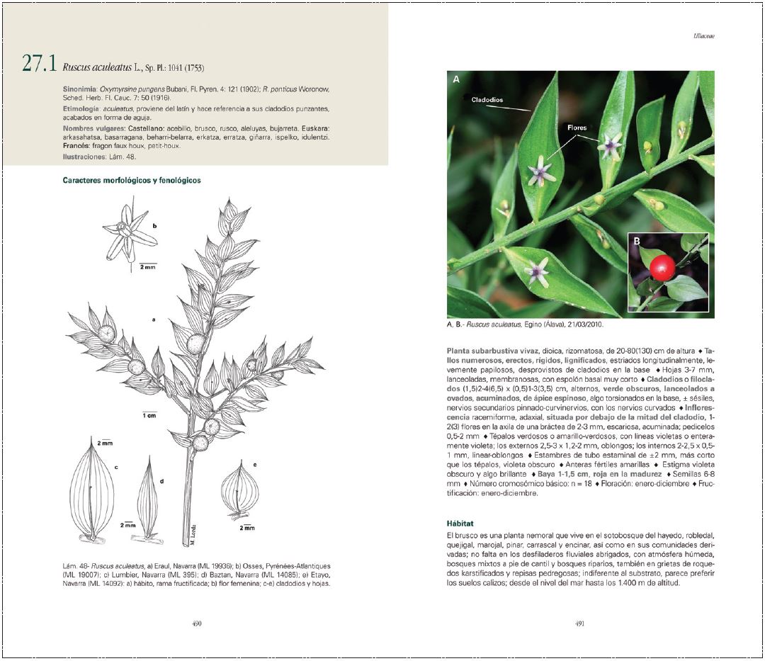 LIRIOS, NARCISOS E IRIS EN EL PAÍS VASCO Y NAVARRA. ATLAS Y GUÍA DE LAS FAMILIAS LILIACEAE, AMARYLLIDACEAE, IRIDACEAE Y SMILACACEAE 2